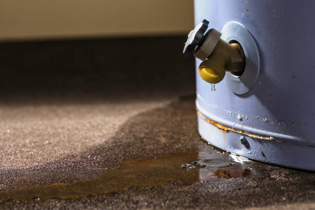 Best Water damage restoration mold remediation  in New Carrollton, MD
