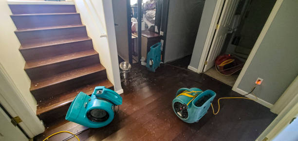 Best Water damage contractors near me  in New Carrollton, MD
