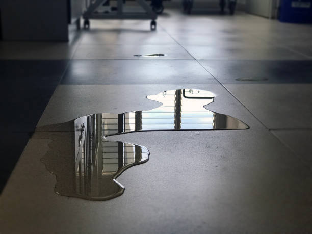 Best Water damage restoration near me  in New Carrollton, MD