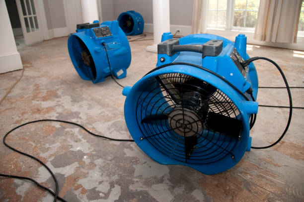 Trusted New Carrollton, MD Water damage restoration Experts