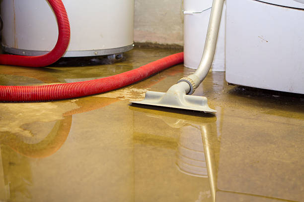 Best Water damage cleanup near me  in New Carrollton, MD