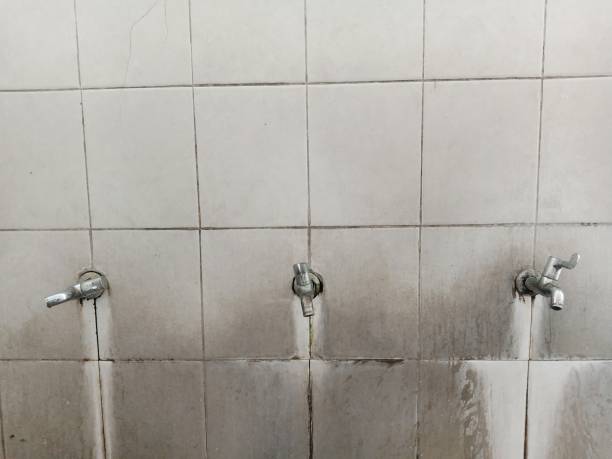Best Water damage cleanup near me  in New Carrollton, MD