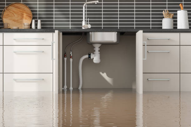 Best Ceiling water damage repair  in New Carrollton, MD