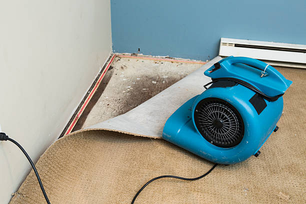 Best Flood restoration services  in New Carrollton, MD